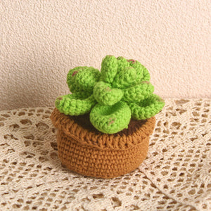 琥珀色の手編み鉢植え手仕事好きへのプレゼント